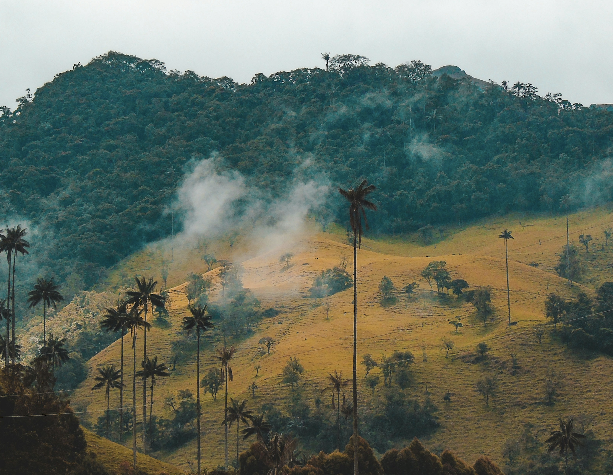 Opvallend: Colombia kampt met een serieus overschot aan cocaïne