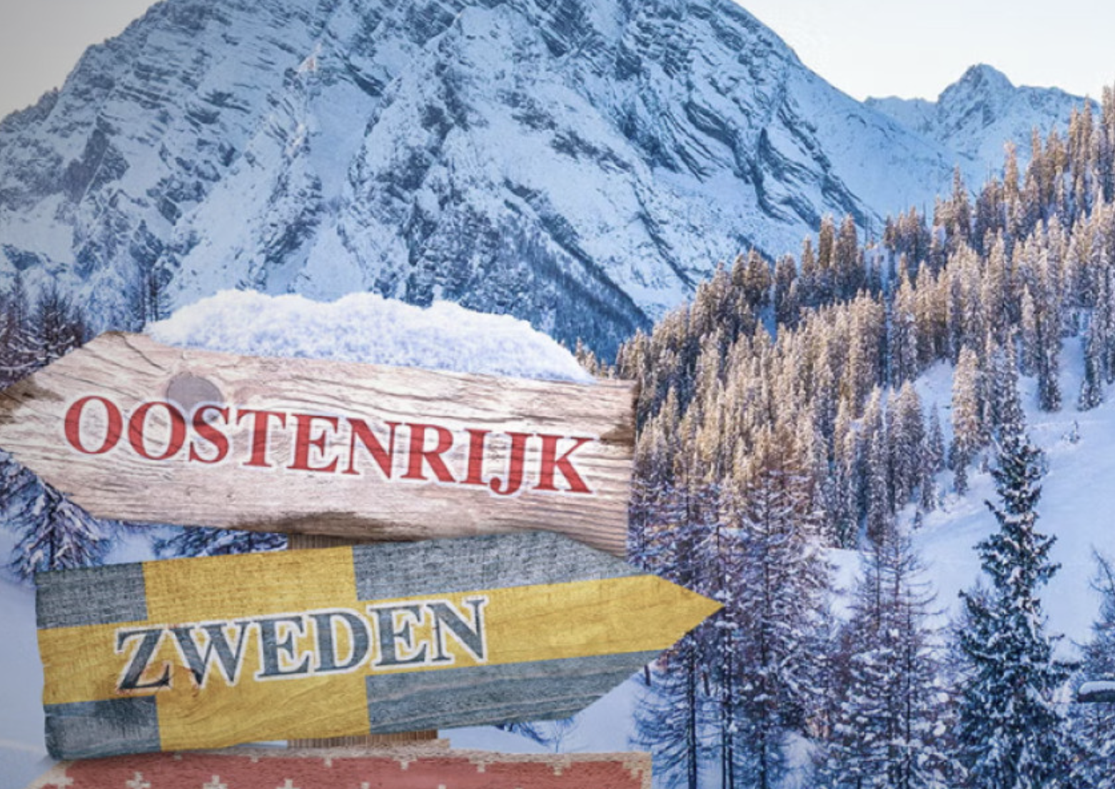 Dit zijn de deelnemers van Winter Vol Liefde