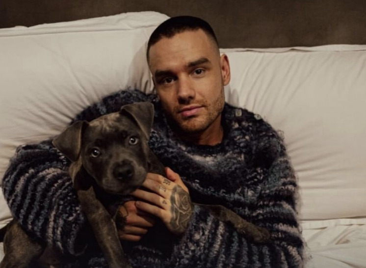 ‘Liam Payne in juli nog opgenomen in afkickkliniek’