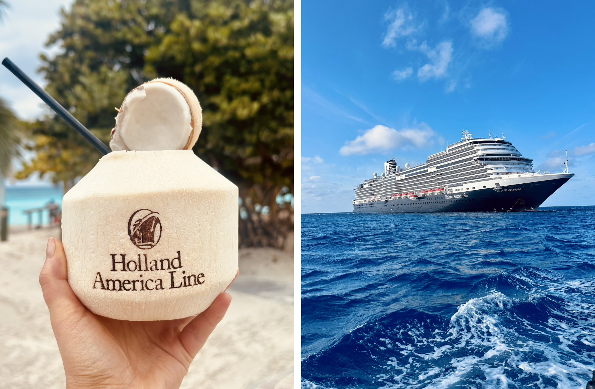 holland america cruise nieuw statendam