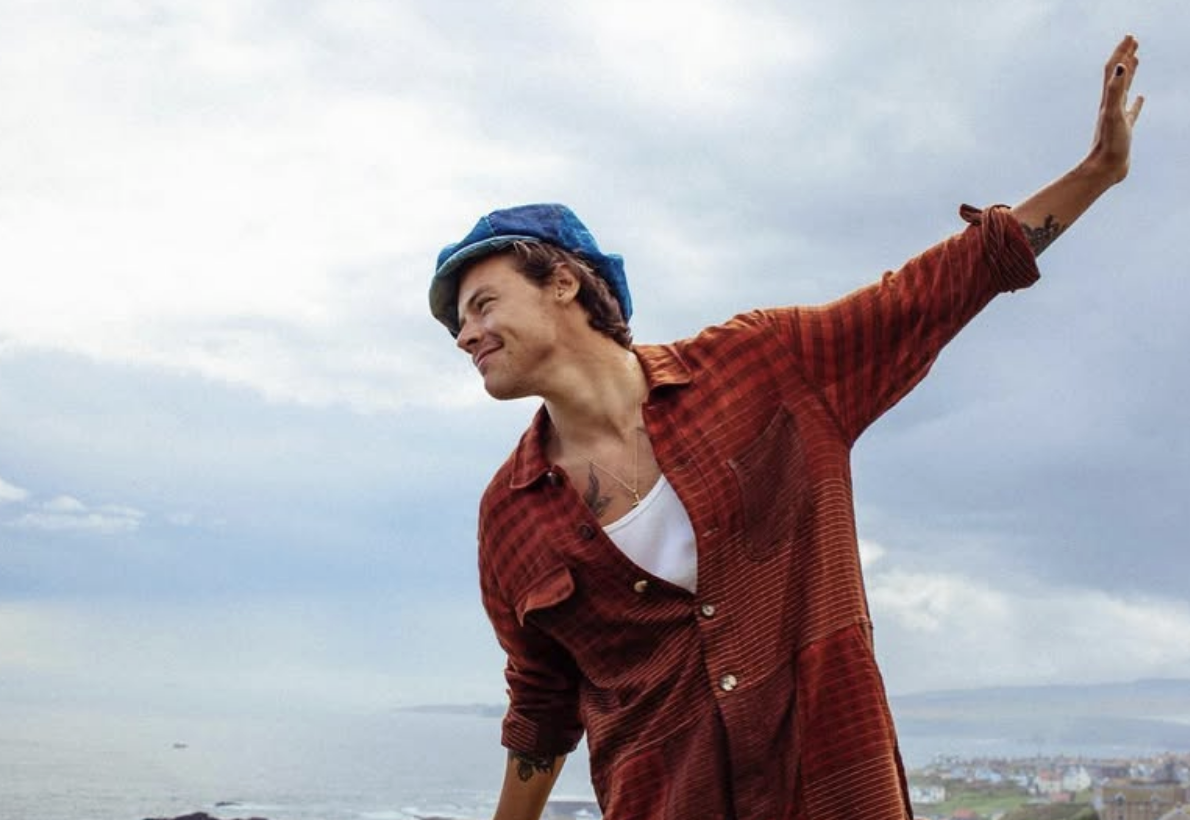 harry styles zoe kravitz