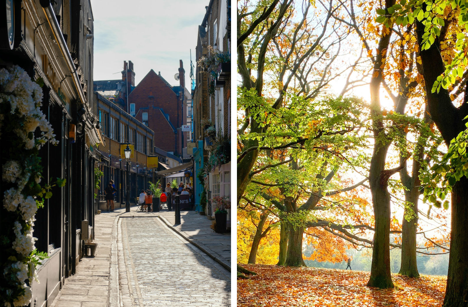 Hampstead in Londen: de wijk die echt voelt als een getaway